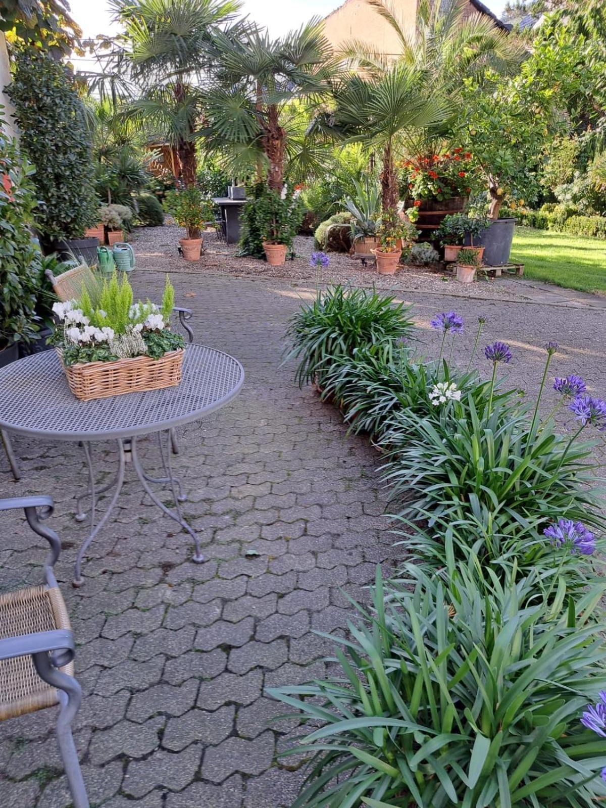 Landhauskiebel Erden Екстер'єр фото