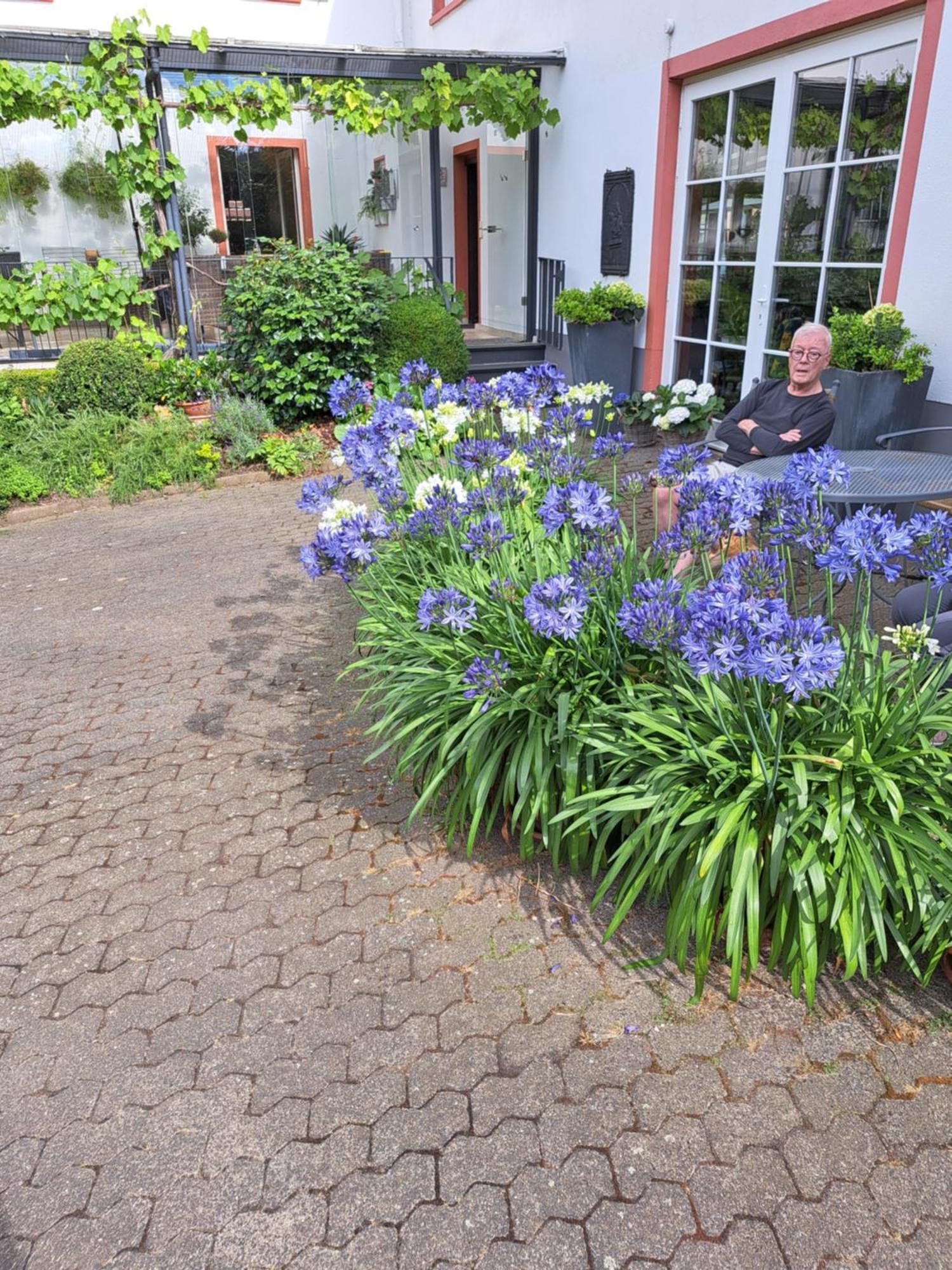 Landhauskiebel Erden Екстер'єр фото